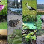 Magical-springs-of-lake-Cerknica-one-day-tour-in-Slovenia