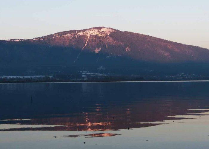 the Plum Mountain, Slivnica, in Slovenia
