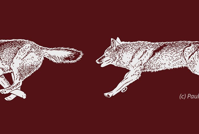 The big bad wolves by Paul Veenvliet