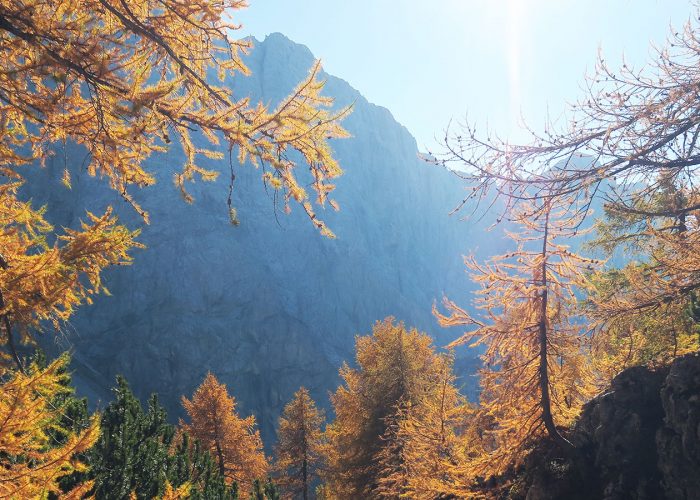 Why Slovenia should be your next wildlife holiday destination