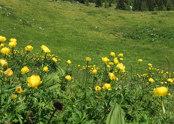 Planning your holidays in Slovenia