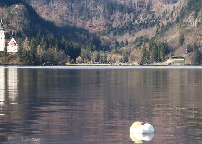 A view of Lake Bled in Slovenia